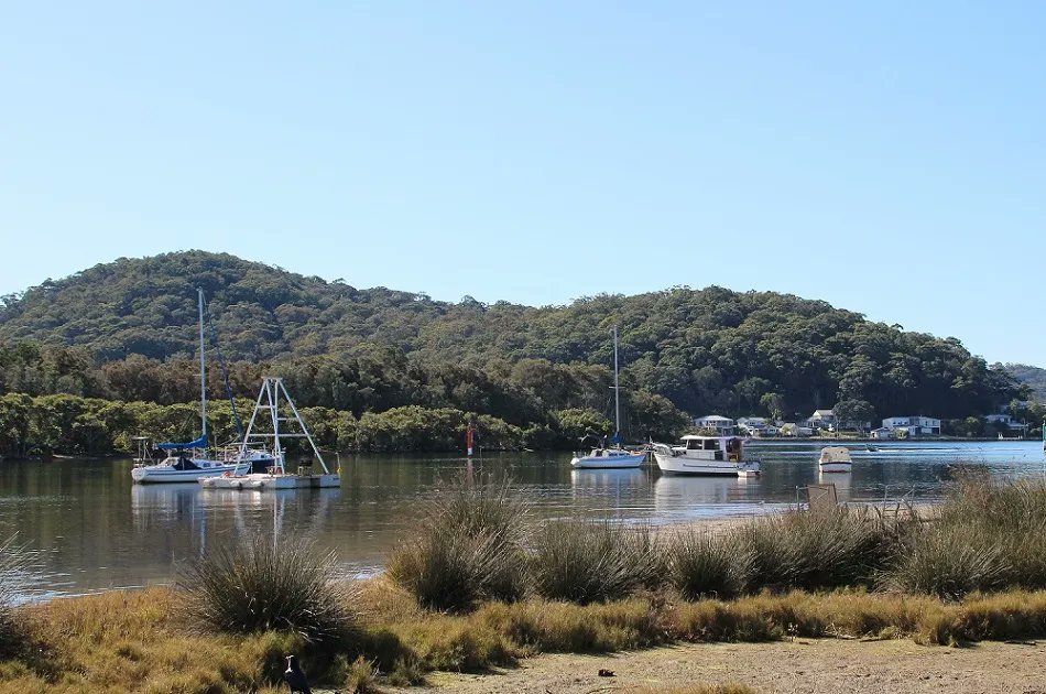 KennedCafe's tweet photo. A couple of very handsome Pelicans, crusing along Empire Bay before taking flight - near Woy Woy on the Central Coast https://t.co/iVrYCO9fFg