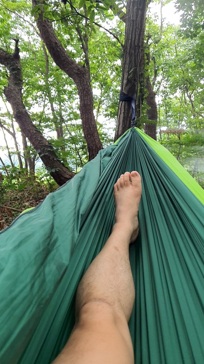 post the tweet media