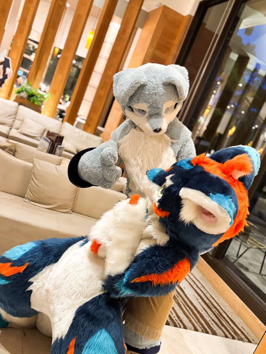 ByakuyaCoyote's tweet photo. #FurMIT24 #pdtk

事後

I will post プロ体‘s photo everyday till I finished all of them🙏

@nemus_ys &amp; @fw_rion_ https://t.co/4vyTDX6wwI