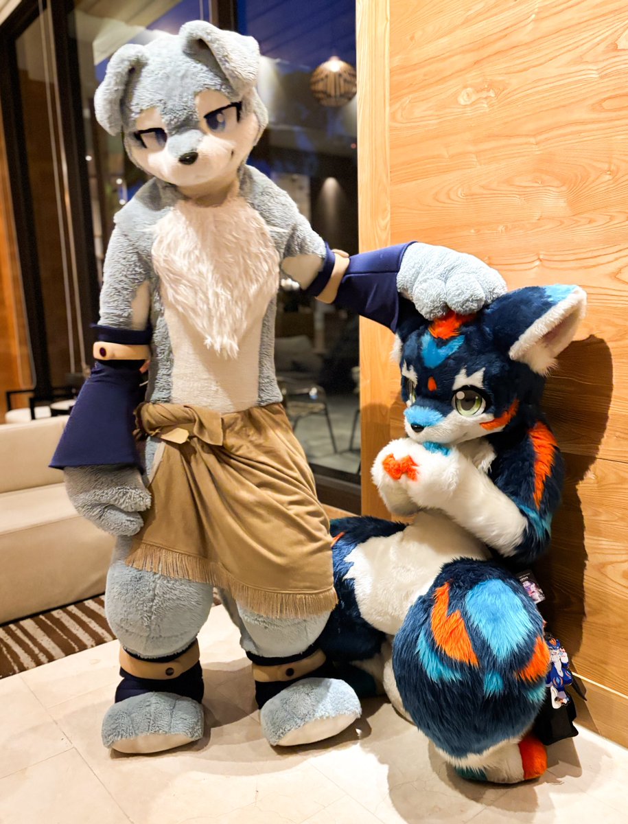 ByakuyaCoyote's tweet photo. #FurMIT24 #pdtk

事後

I will post プロ体‘s photo everyday till I finished all of them🙏

@nemus_ys &amp; @fw_rion_ https://t.co/4vyTDX6wwI