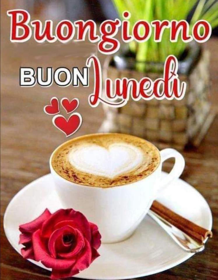 RITABIANCHi56 tweet media