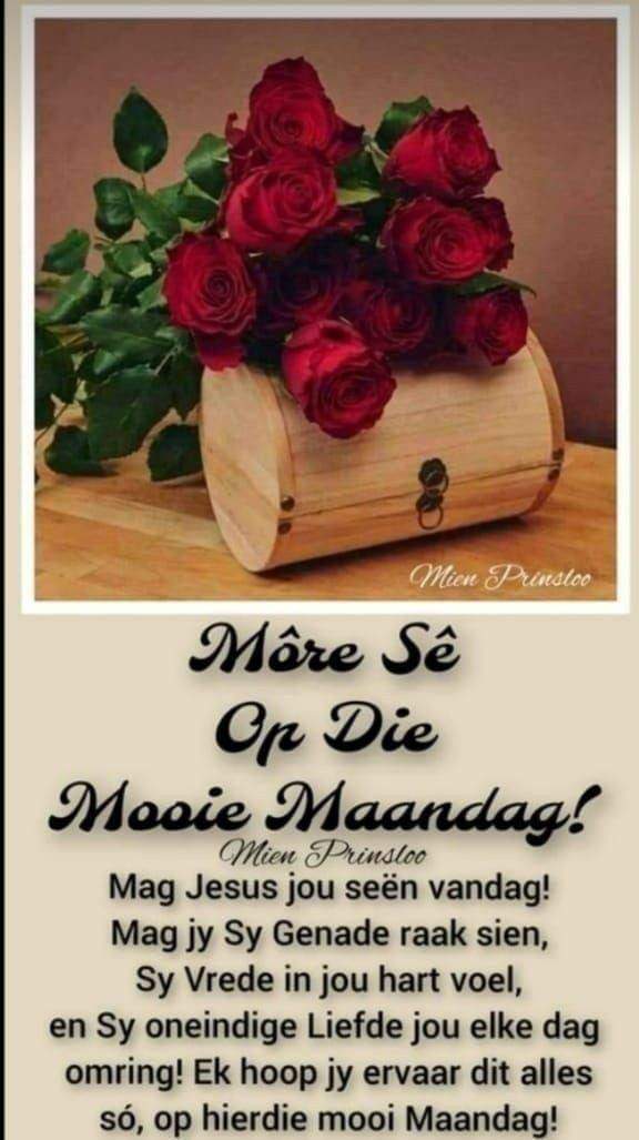merciamaritz1's tweet photo. Geliefdes!!!
#MooieMaandag
#NuweWeek
❣️❣️❣️❣️ https://t.co/YPfPoPx0bP