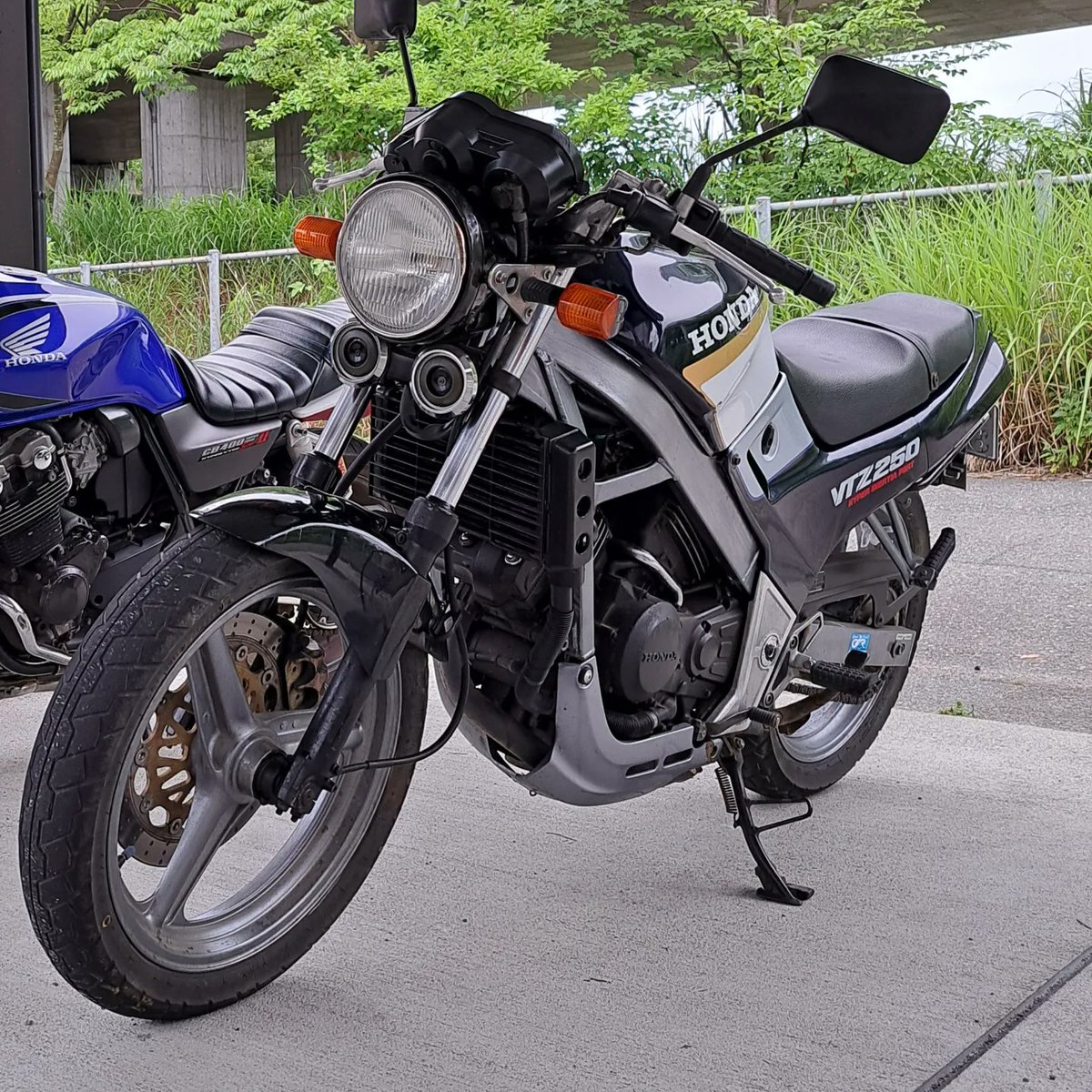 ねこまんま (@NSTrider460) / Posts / X