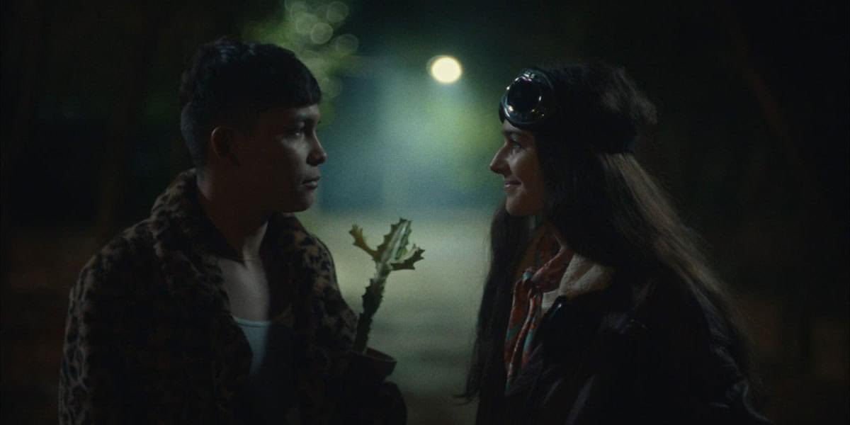 PROCINECDMX 🎥 tweet media