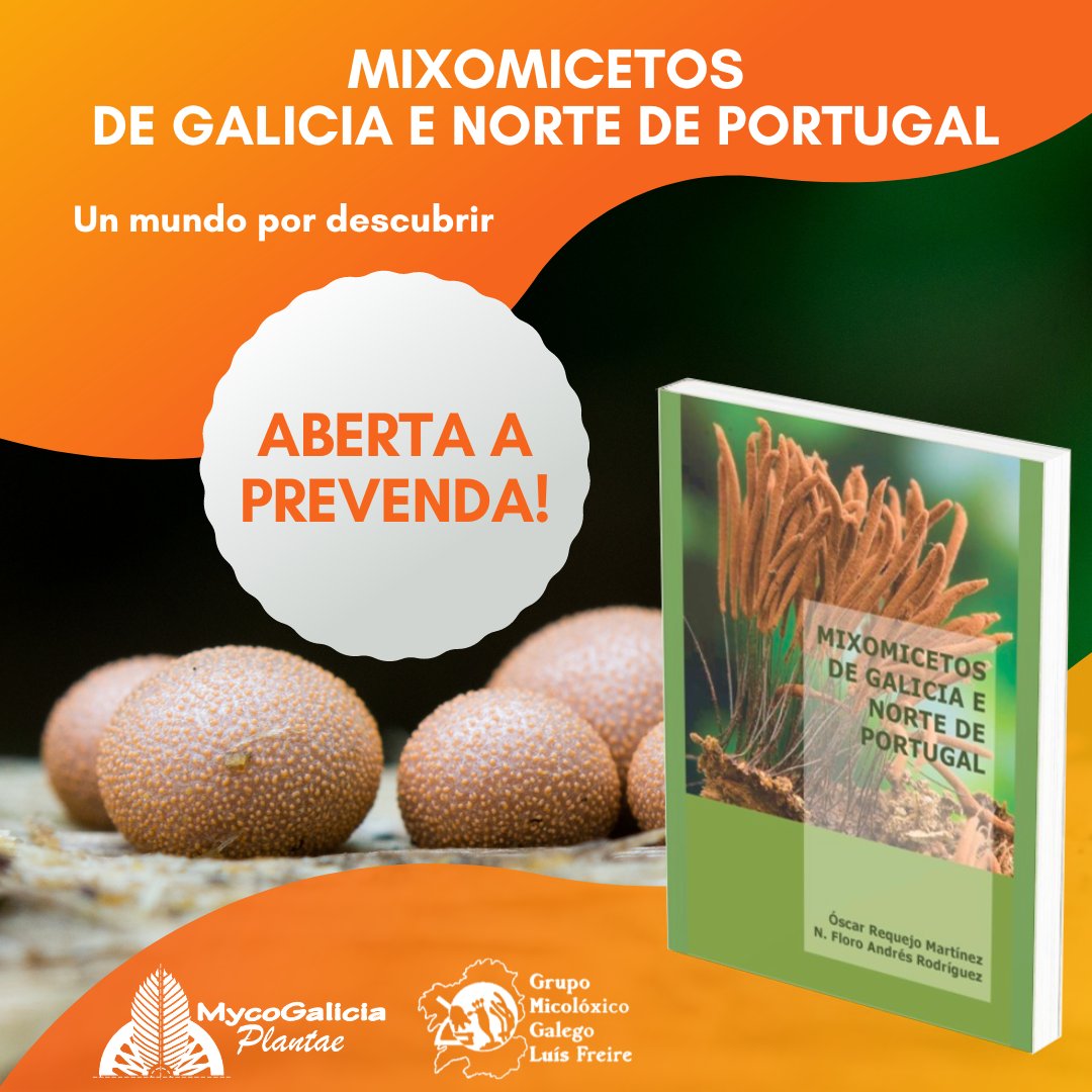 MycoGalicia Plantae tweet media