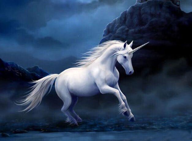 What unicorn is the coolest put a wing emoji 🪽 for the unicorn what has wings and put a unicorn head emoji🦄 for the normal unicorn let’s see what one wins🥇