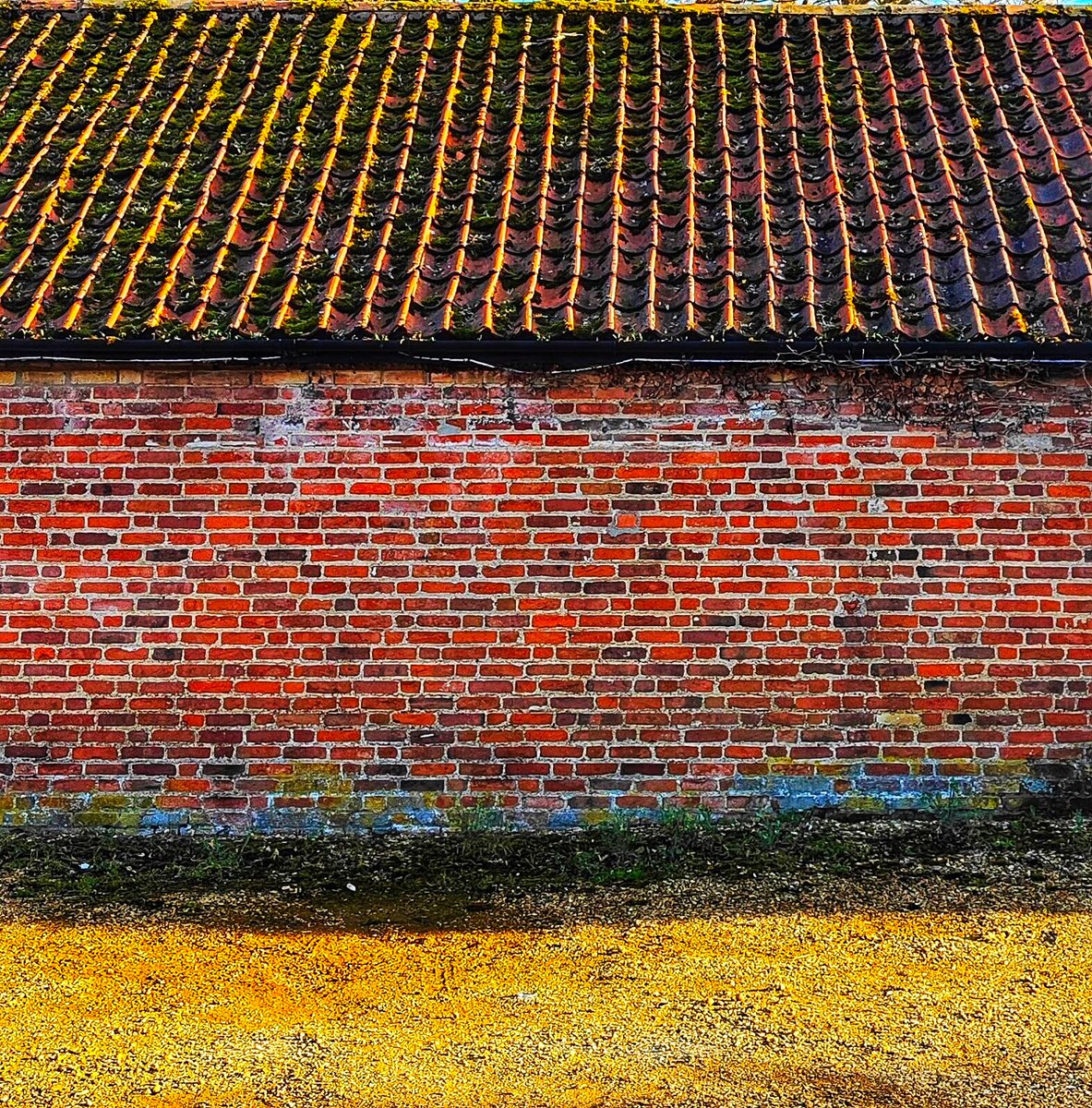 RichardMortime2's tweet photo. The Daily Not-Rothko is a brick shed in Saffron Walden https://t.co/qQbyFnmRtb