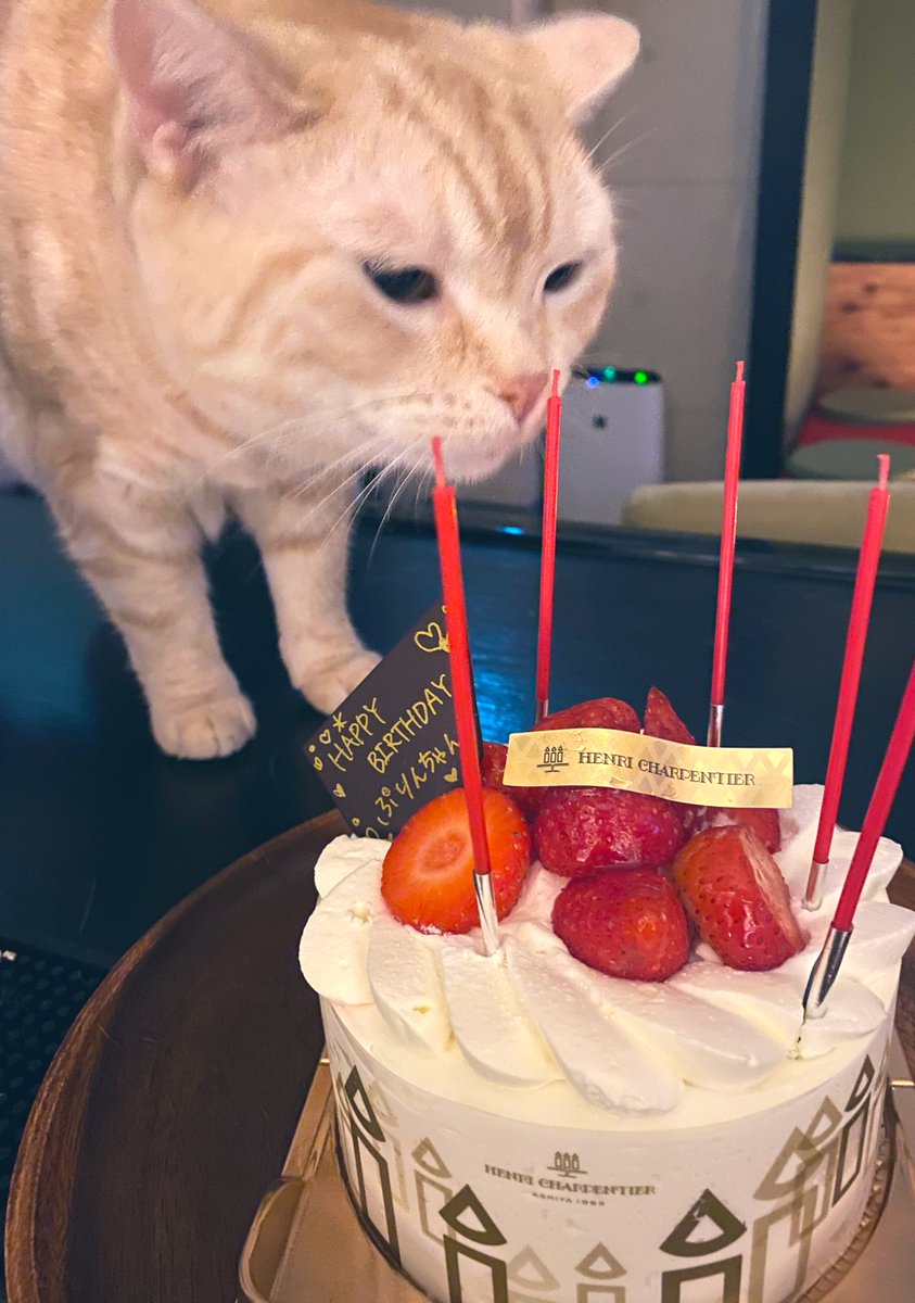 Puddingmomo13's tweet photo. Happy birthday to me 🥰
31yo already 😭😭😭💚💚💚✨✨✨ https://t.co/VGQyuJtDSi