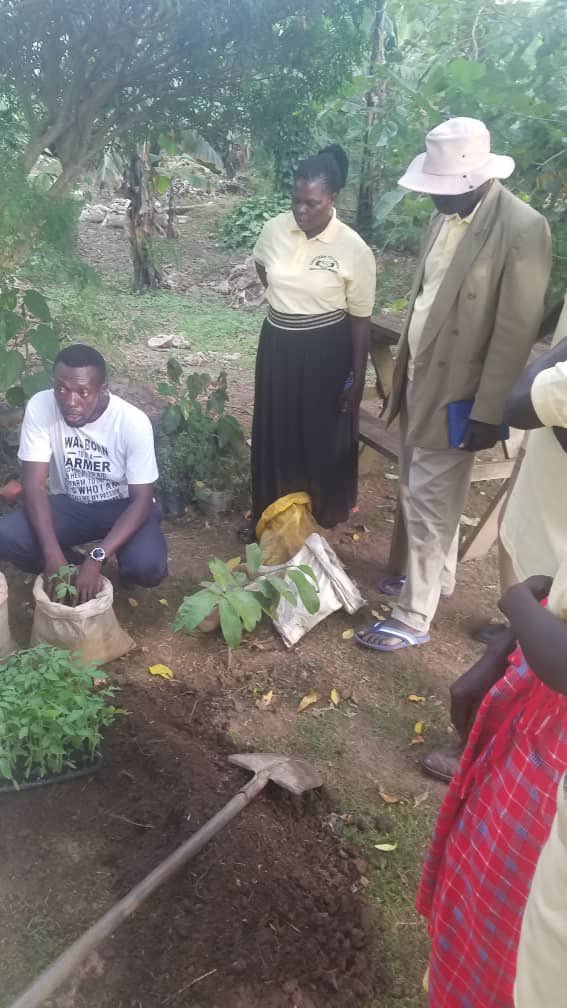 EasternVillages's tweet photo. You need more than what you know about horticulture to get Liberated economically .#EmpoweringVillageWomenAndYouth #EmpowermentWhereItCounts https://t.co/nKX5xfnwdw