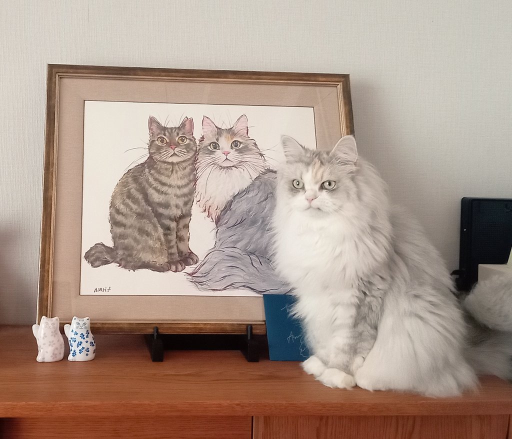 one_of_MURAKAMI's tweet photo. 福嶋吾然有さん(@AsariCats )の絵が届きました！可愛すぎて毎日眺めてます😺✨なかなか二人揃ってくれないので、それぞれのショットです🐈‍⬛🐈

#福嶋吾然有
#猫のいる暮らし https://t.co/qmFo8ZWqGr