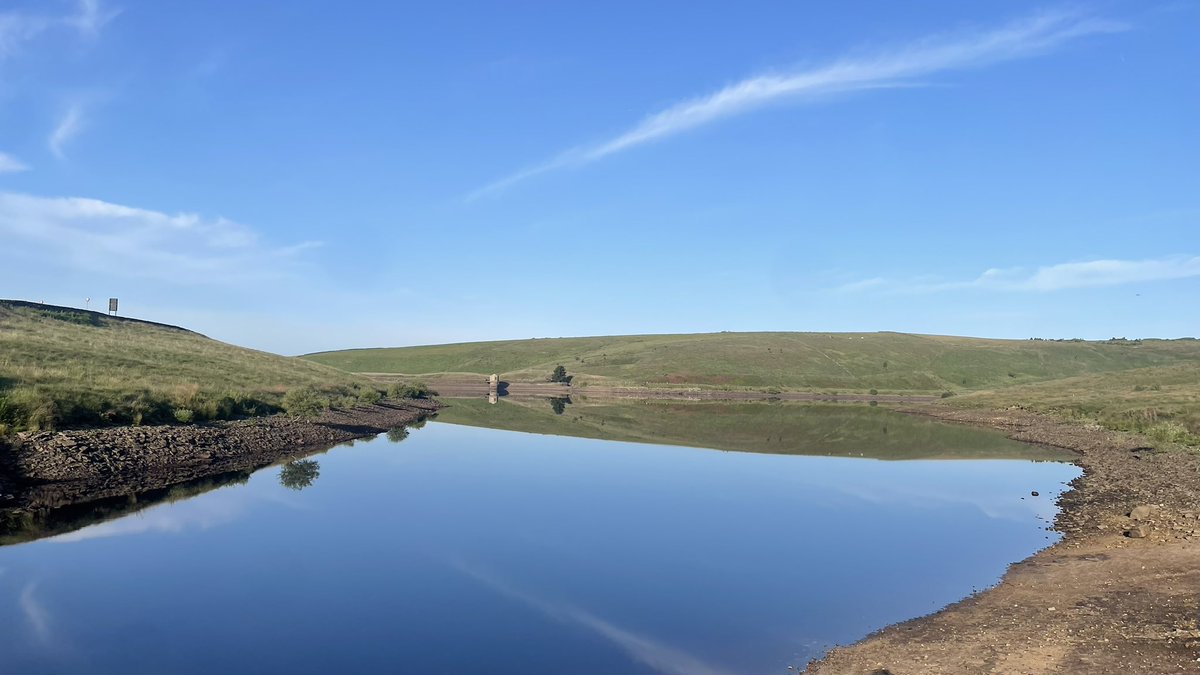 David Hall tweet media