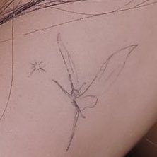 Doralovelisa's tweet image. เพิ่งเคยเห็นชัดๆ นี่มันนางฟ้าทิงเกอร์เบลนี่น๊าาาา 🧚🏻‍♀️

ปล.ใครที่เคยบอกว่ายุงให้ตบปากตัวเองด่วนค่ะ😤