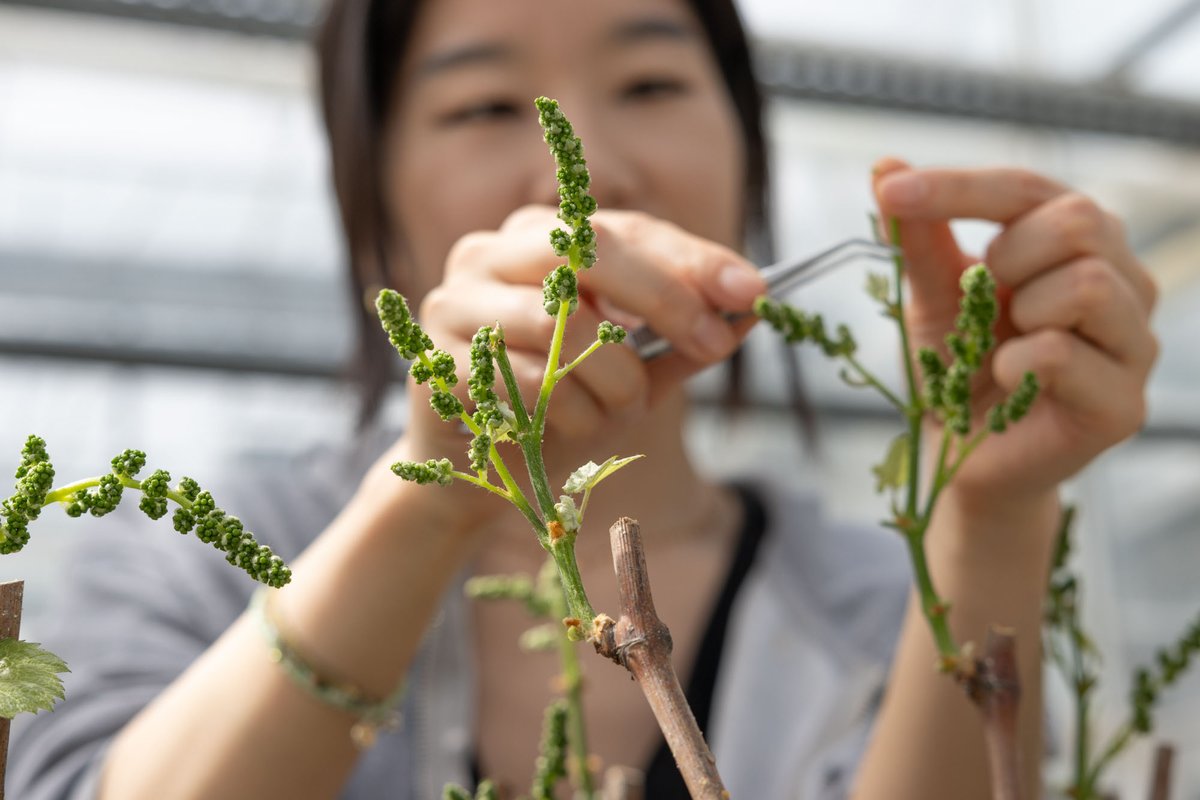 La science accessible pour tous !
😎Un leitmotiv de <a href="/INRAE_NA_BDX/">INRAE Nouvelle-Aquitaine Bordeaux</a> 
On vous réserve quelques surprises🎁🔍 sur le site de <a href="/villenavedornon/">Villenave d'Ornon</a>  pour la #FDS2024 lors d'une #Journéeportesouvertes exceptionnelle de 9h à 13h 🔬🐟🍓🌲🐝