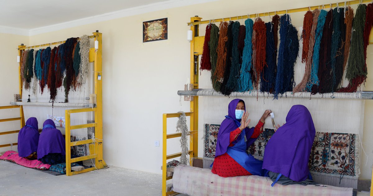 UNDPaf's tweet photo. .@sarodriques
also observes the Arbaba Sahib Community Kitchen helping to address food insecurity; and visits the Kolokhak Wool Center empowering women w modern machinery and solar power. Watch the video for more: https://t.co/fE5oLpFPrR https://t.co/yOGk3JpL34