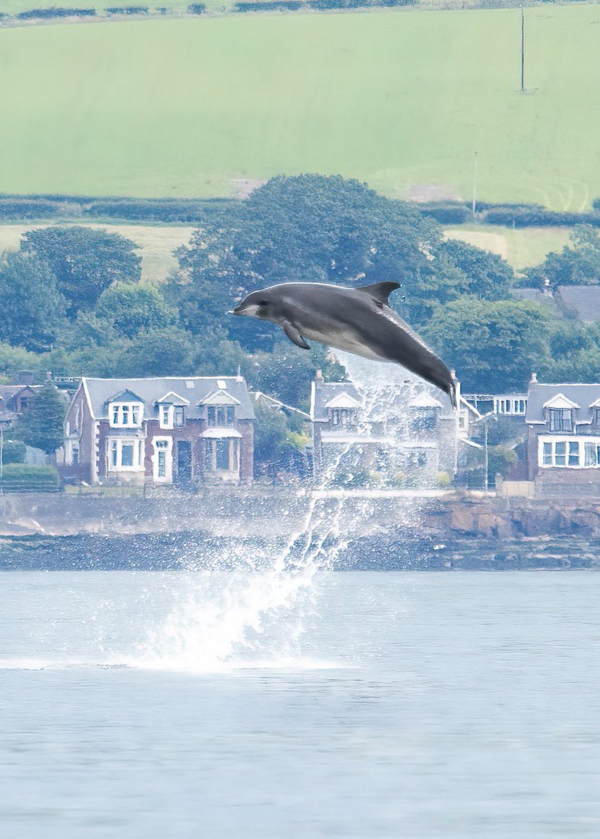 Brian Gallagher tweet media