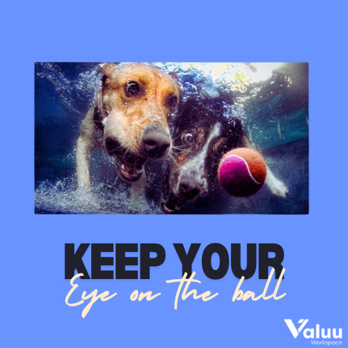 valuuwork's tweet photo. Keep your eye on the ball’ when it comes to your business!
Organise your objectives, key results and linked scenarios into our tracking page called 𝘝𝘢𝘭𝘶𝘦 𝘳𝘰𝘢𝘥𝘮𝘢𝘱.
Found on Valuu Workspace!!
Click on the Link: https://t.co/WwB9DSq8Bc
#ValuuWorkspace #Valuuai #Digital https://t.co/IbPt1i3Jez
