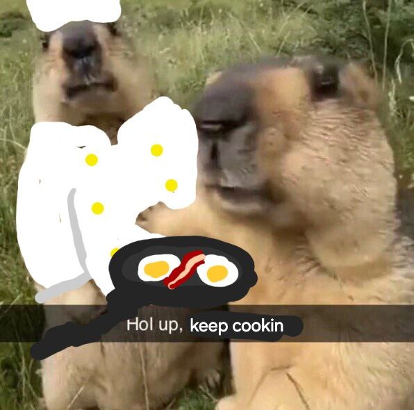 RogueM14's tweet photo. @xPlaceb0 We just keep cookin https://t.co/wo3fQgUs3T