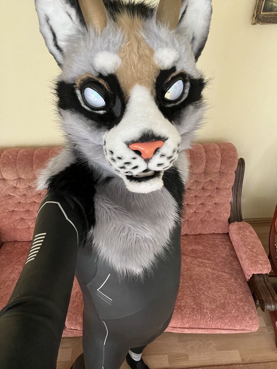 Cuddling Cat/Totter MJ 🔜 Awoo, EF, FNV, NFC tweet media