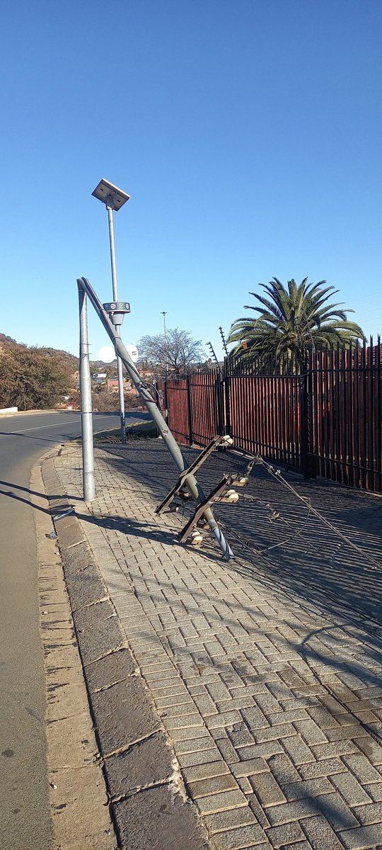 stefano madies tweet media