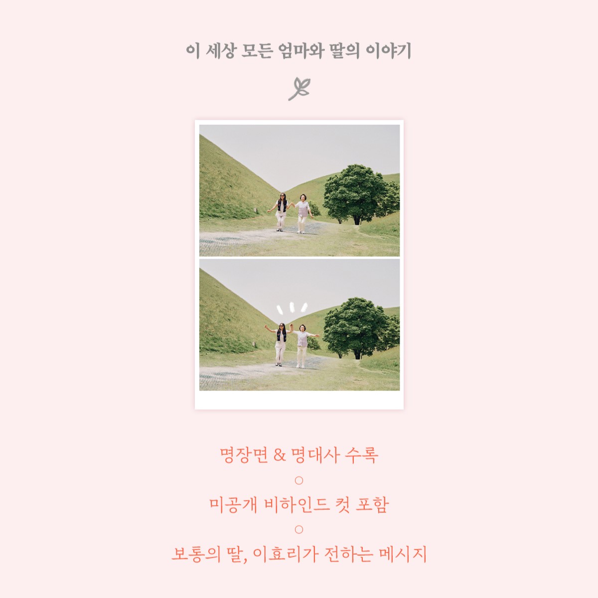 📢<엄마, 단둘이 여행갈래? 포토에세이> 예약판매 딸, 아내, 그리고 이효리의 엄마라는 이름으로 살아온 '전기순' 그리고 전기순의 딸이자, 대한민국...
