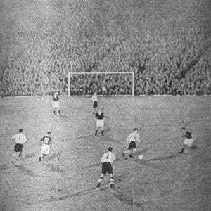 SuzieWong 🌹🍄🌲🌳☀️☔ tweet media