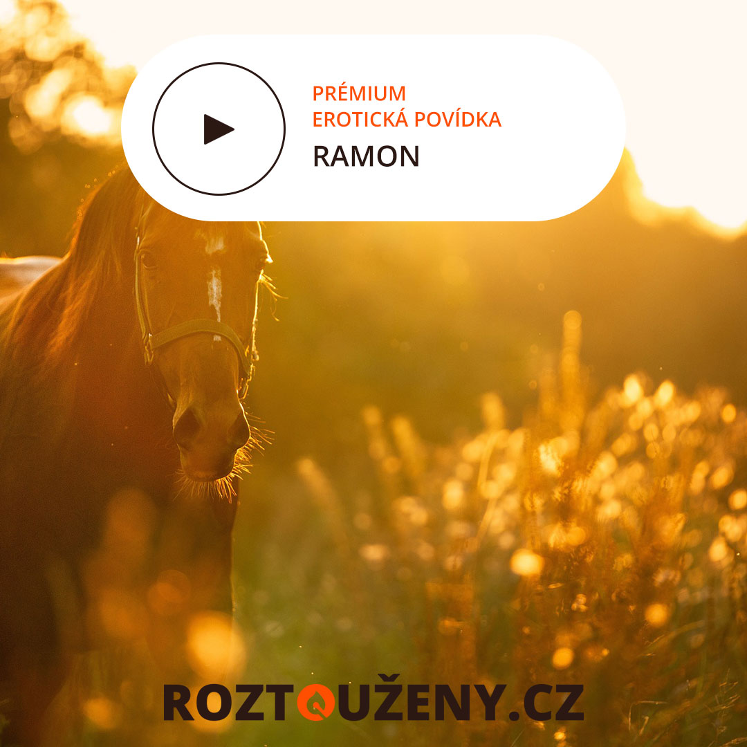 roztouzenycz's tweet photo. Veronika znachověla. „Oceňuji tvou upřímnost. Chtělo odvahu tohle říct. Já to cítím stejně. Ale já potřebuju čas, než si někoho pustím k tělu.“ To říkala Veroničina ústa, ale její prsty...
Více na: https://t.co/sjUoegxARs
#audioerotika #audiosex #audioporn #roztouzeny #erotika https://t.co/t50sOFJ1BY