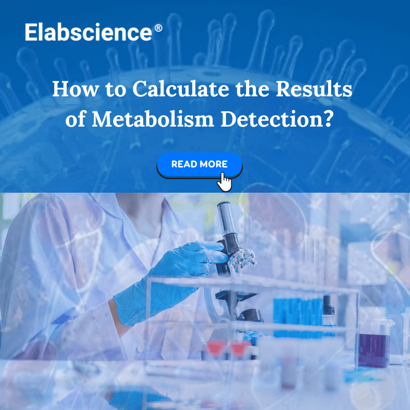 Elabscience_bio's tweet image. Understanding how to calculate metabolism detection results is essential for researchers. This method detects various products and enzymes involved in biological metabolism. More info: 
elabscience.com/Products-metab…

#metabolism #celldetection #enzymes #enzymes #labtechniques
