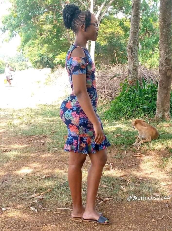 THE TUNDRA GUY tweet media