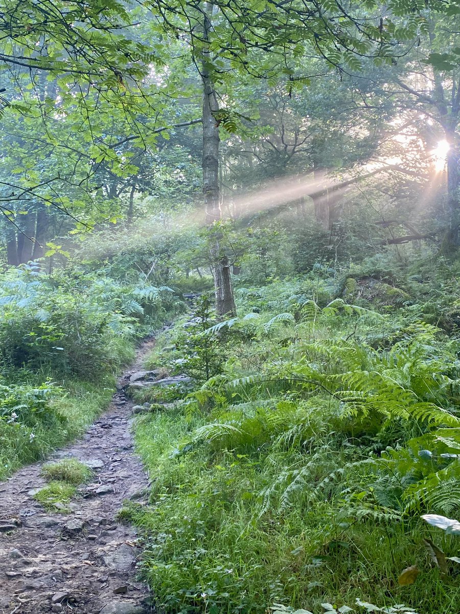 Ed Richardson tweet media