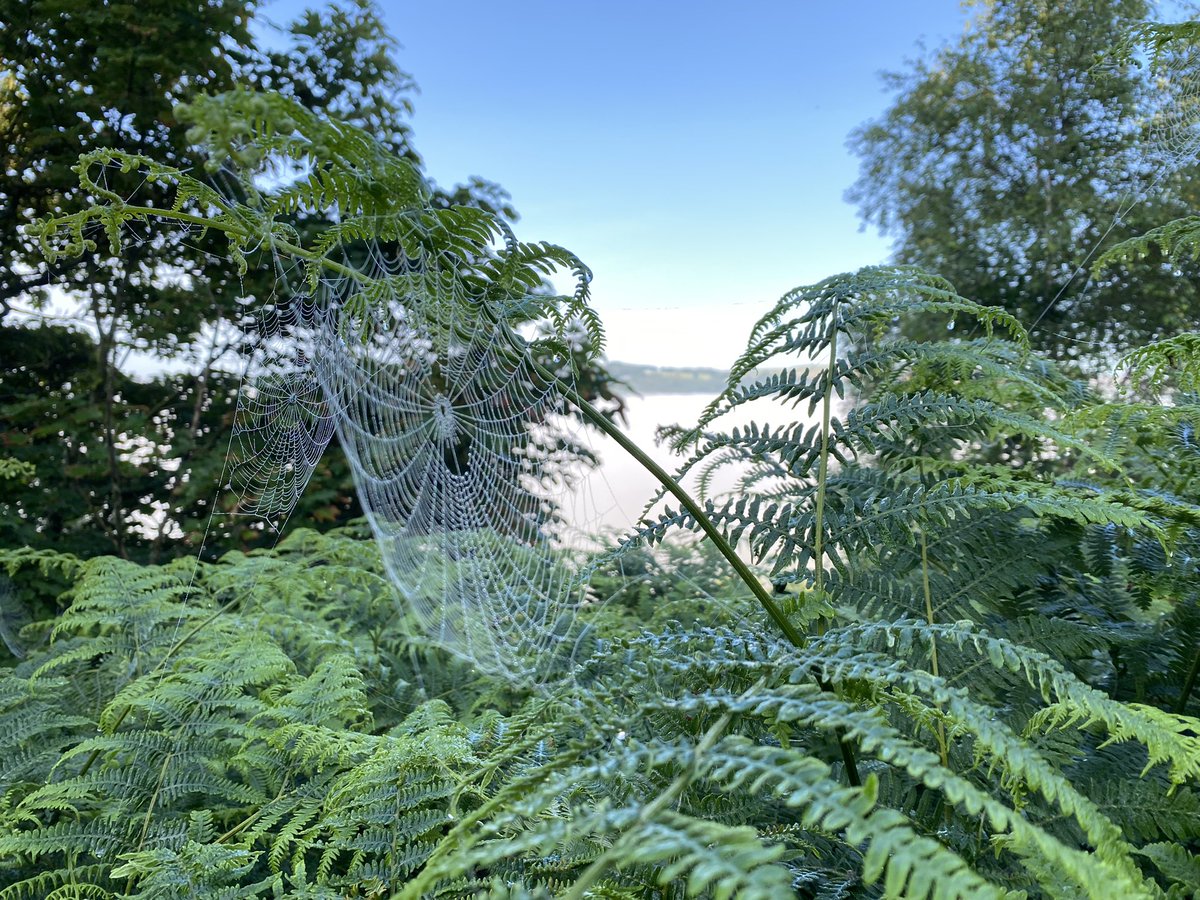 Ed Richardson tweet media