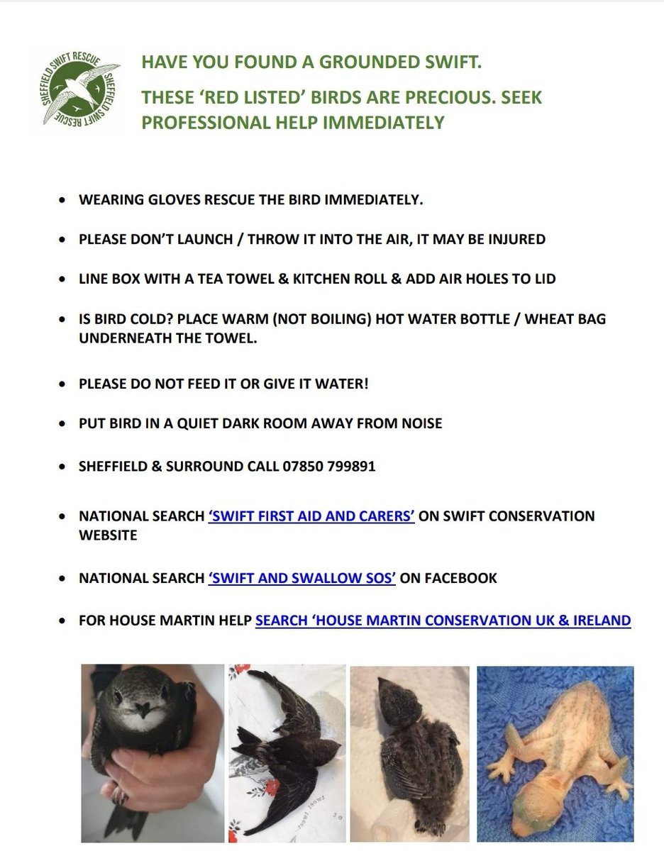 Chet Cunago (@chetcunago) on Twitter photo 