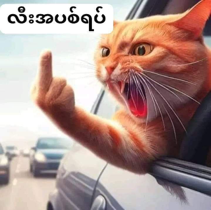 သူပုန်ကအပစ်ရပ်ဆိုတိုင်း 
လိုက်ရပ်ရအောင် အဘတို့က 
သူပုန်ရဲ့အမိန့်ကိုနာခံနေရတဲ့
သူတွေလား... ရင်းထားရတဲ့
အသက်တွေလည်း အားနာဦး ...