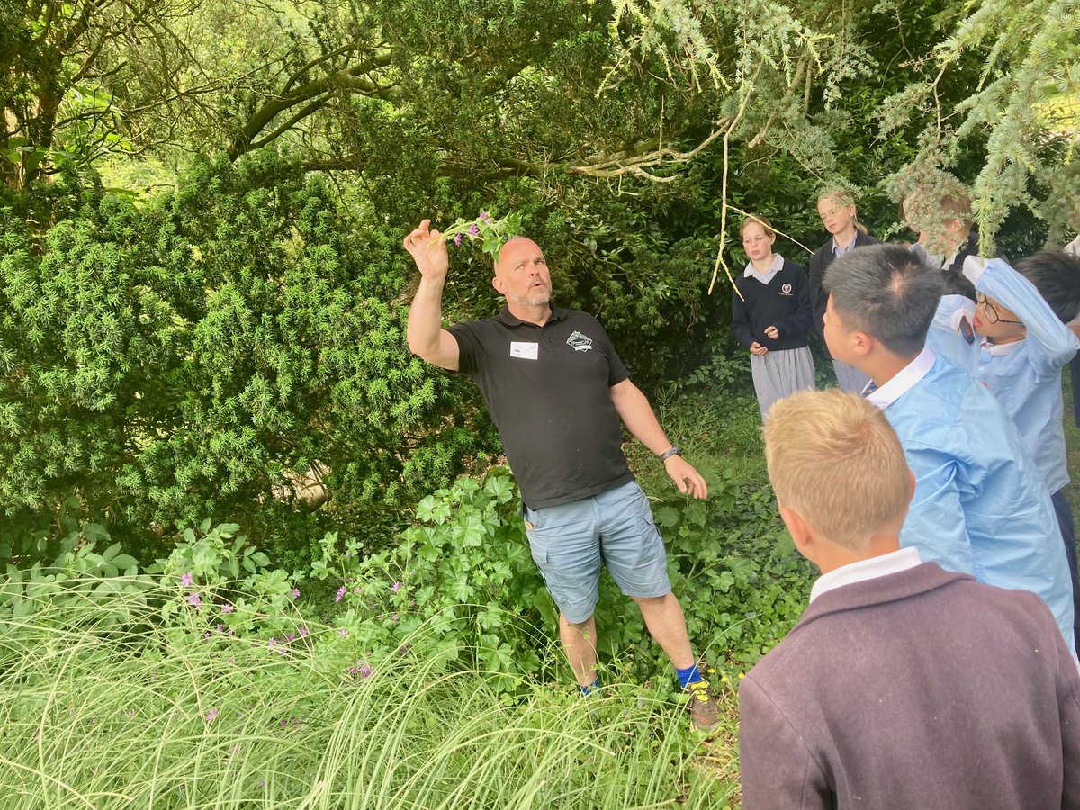 King's College Prep School tweet media