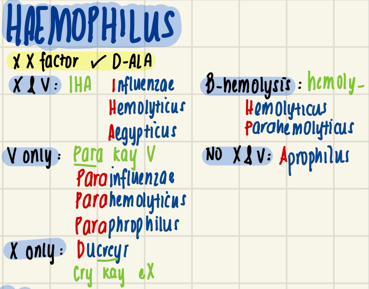 mjlbnotes's tweet photo. Haemophilus Mnemonics 🔬🧫

Requires X &amp; V factors: 𝗜𝗛𝗔 
V factor only: 𝗣𝗮𝗿𝗮 𝗸𝗮𝘆 𝗩 
X factor only: 𝗖𝗿𝘆 𝗸𝗮𝘆 𝗲𝗫 🥲😭
B-hemolysis: contains term 𝗵𝗲𝗺𝗼𝗹𝘆𝘁𝗶𝗰𝘂𝘀 🩸 
No X &amp; V factors: 𝗔 = absence ❌ https://t.co/gBhEAA5UVi