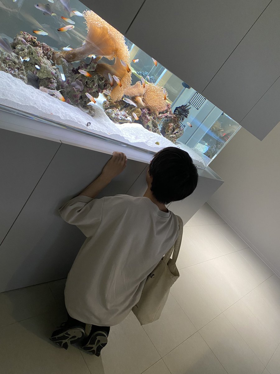 Keisuke_JY's tweet photo. 魚に夢中になってるシャル https://t.co/8bYvNX6Svm
