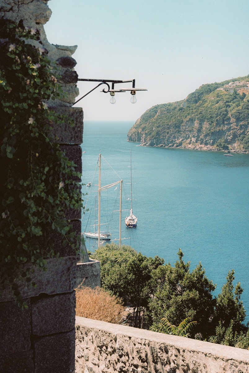 Giacomo Spadafina tweet media