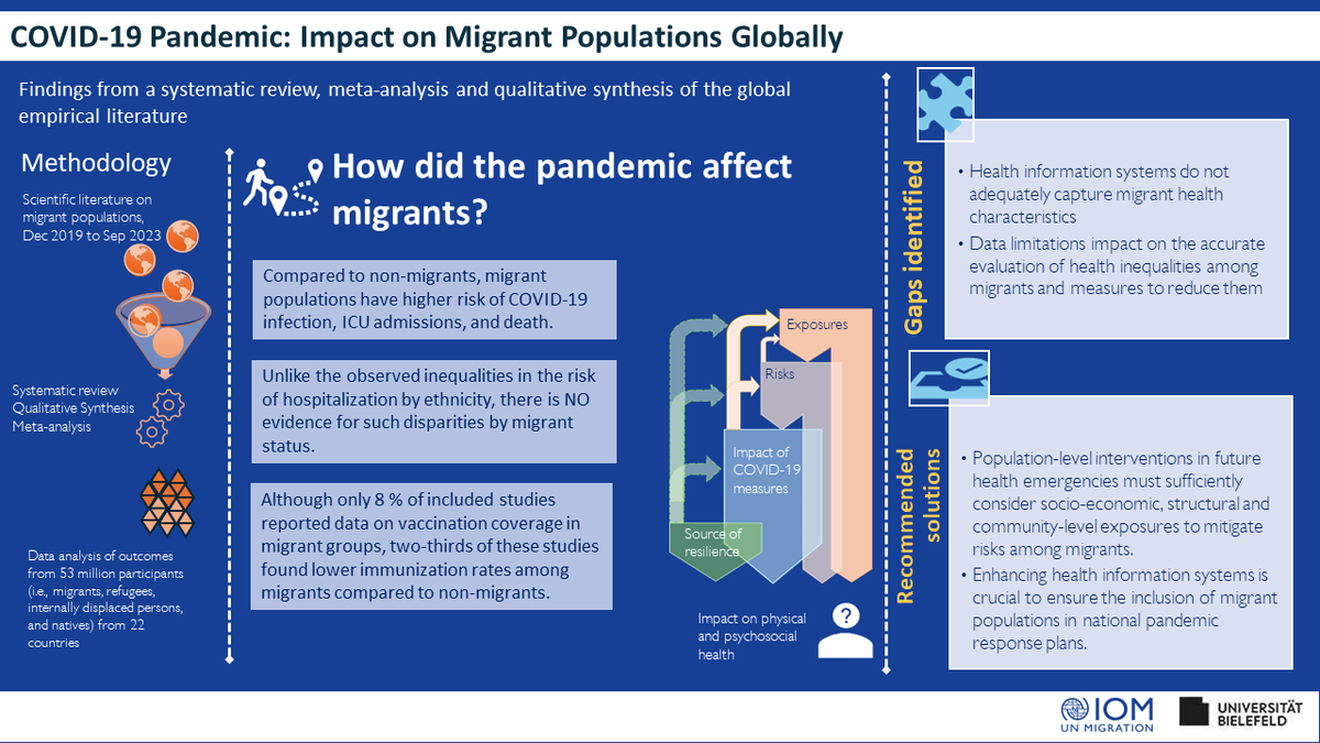 IOM Migration Health tweet media