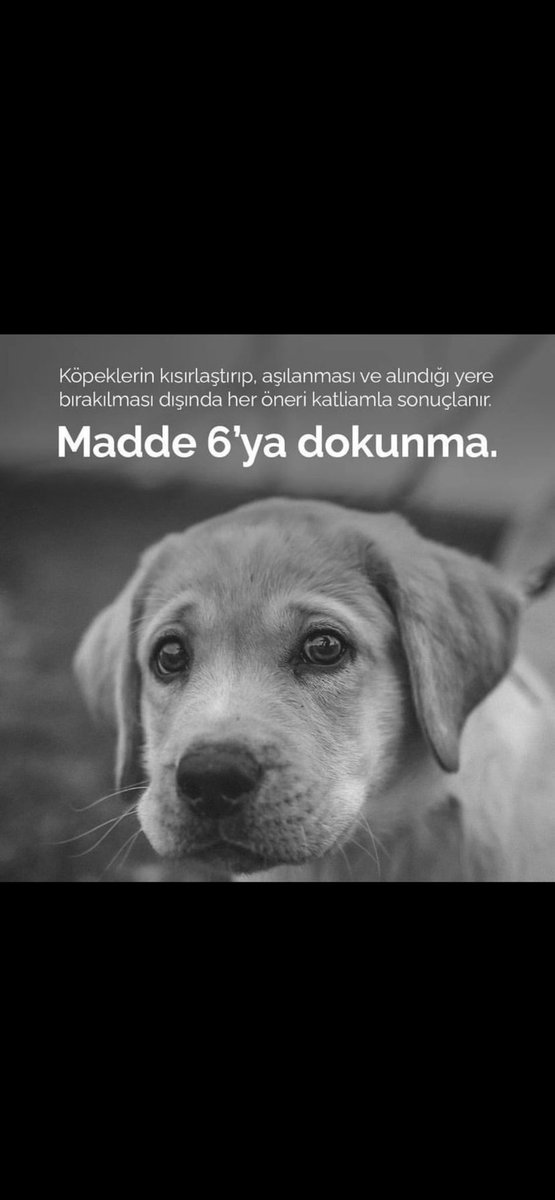ilasak63's tweet photo. #YasayiGeri https://t.co/rK3wAJ9Er0