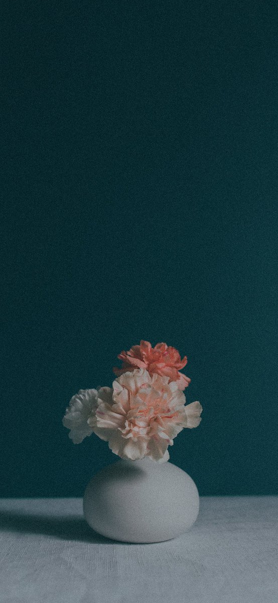 wallpaper_Dark's tweet photo. #wallpaper #خلفيات #HD #Apple #Samsung #black #صباح_الخير #Trump2024 #الارجنتين_كولومبيا #Wallpapers #FLOWERGARDEN #gift #Flowers https://t.co/P4DisMn6Hk