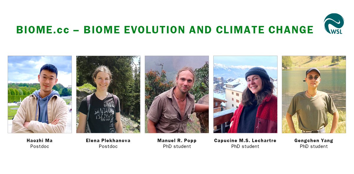 Niklaus E Zimmermann (@nezimmermann_) on Twitter photo I'm thrilled to announce that the project team of my SNSF Advanced Grant Project on “BIOME EVOLUTION & CLIMATE CHANGE” is complete and the members started their research <a href="/WSL_DME/">WSL Dynamic Macroecology</a>, <a href="/WSL_research/">WSL Umweltforschung @wslresearch.bsky.social</a>!🚀 More information about the project here: shorturl.at/TtakH I'm thrilled to announce that the project team of my SNSF Advanced Grant Project on “BIOME EVOLUTION & CLIMATE CHANGE” is complete and the members started their research <a href="/WSL_DME/">WSL Dynamic Macroecology</a>, <a href="/WSL_research/">WSL Umweltforschung @wslresearch.bsky.social</a>!🚀 More information about the project here: shorturl.at/TtakH