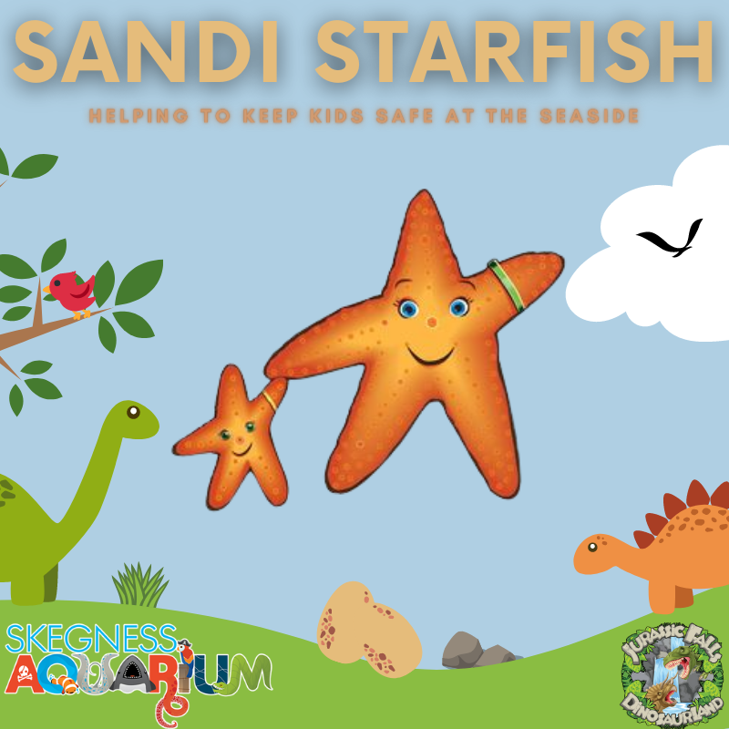 Summer is here! ☀️

It's a busy time for the coast, so we're proud to partner with Lincolnshire Police to offer free wristbands for little ones in case they get lost!

Collect from the Aquarium, write a mobile number on it, and that's it! Keeping kids safe at the seaside.