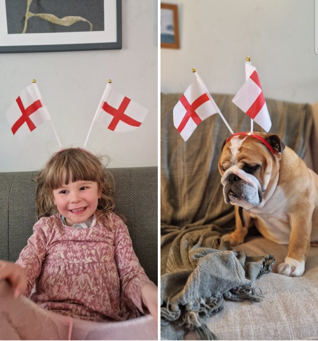 Anticipation vs. Reality #itsnotcominghome #UEFAEuros2024 #ENGSPN