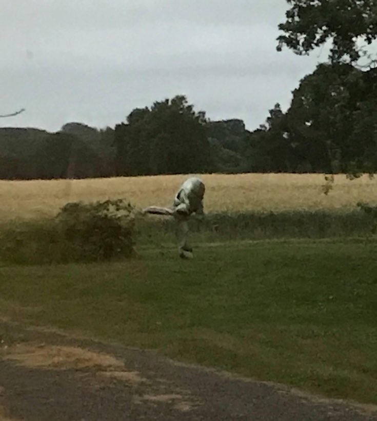 Claire @PureKent tweet media