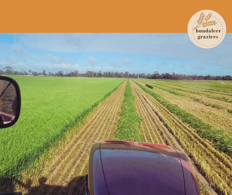 Simon Kerin tweet media