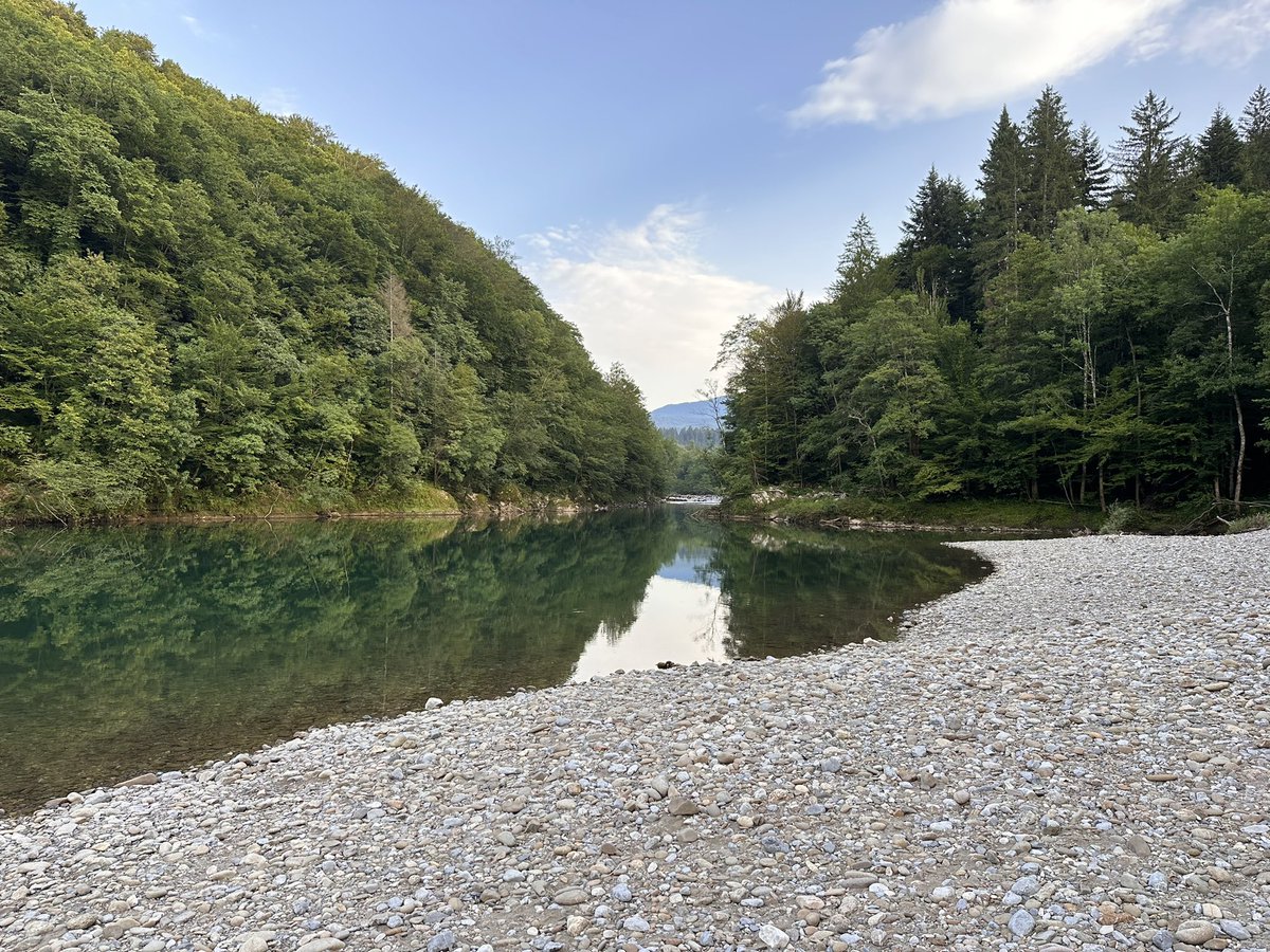 rokschuster's tweet image. Pridi na Kolpo, voda ima ravno pravšnjih 25’C če ne stopinjo ali dve več ❤️ Prenočišč in pokošenih travnikov imamo dovolj za vse #kolpa