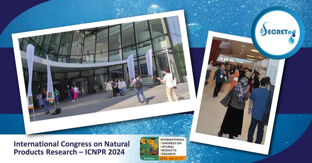 SecretedH's tweet photo. 🚨Happening NOW🚨
💧@SecretedH is at #ICNPR2024Krakow in Poland
🔜Stay tuned for exclusive insights from Session IV-A.I.M.S Cluster, chaired by Fokialakis Nikolas, Vice President of the Society for Medicinal Plant & Natural Product Research (GA)🌿
#H2020 #aimscluster #congress https://t.co/jOXqNpSOJU