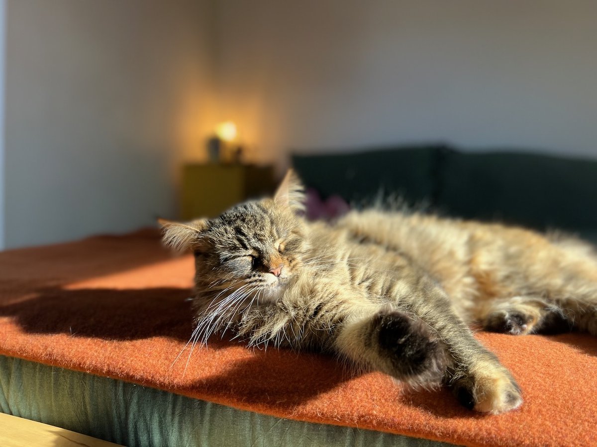 Mark Edwards tweet media