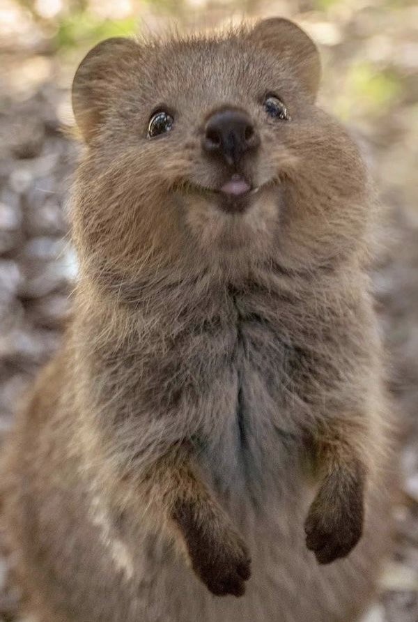 Alessandro ⚓️ NO DM tweet media