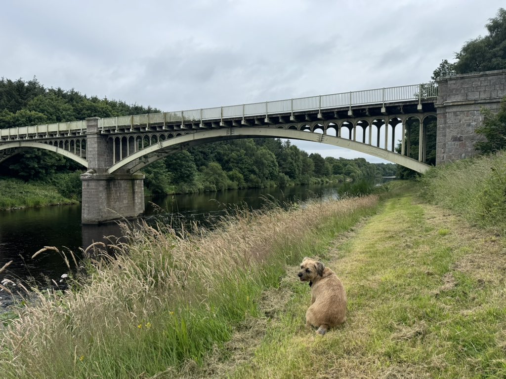 PupButterwick 🇬🇧 tweet media