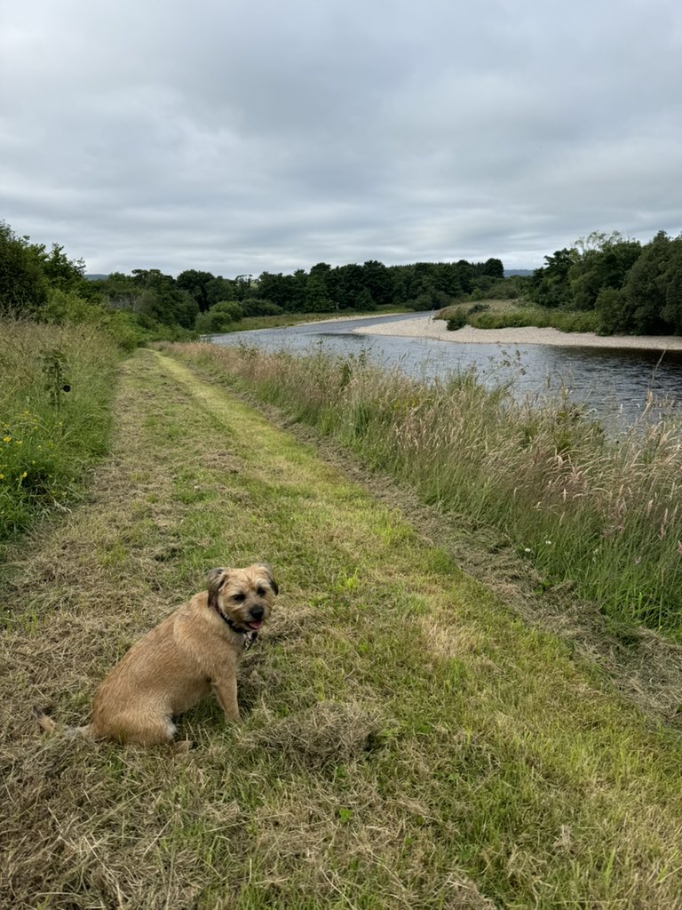 PupButterwick 🇬🇧 tweet media